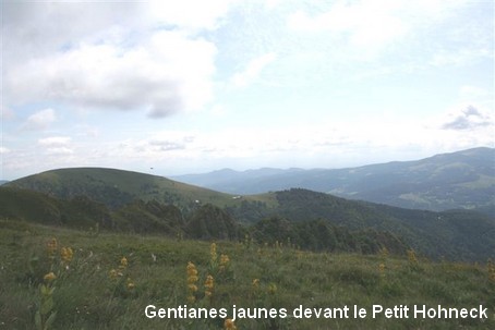 Vue sur le massif vosgien - Photo Marie-Odile Holer
